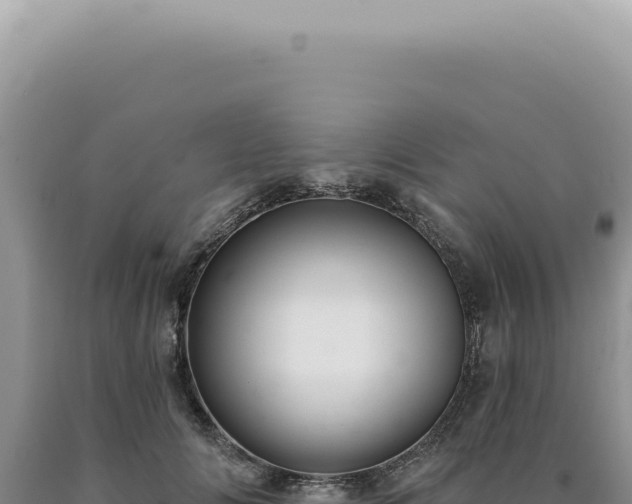 X0000090770702200707271527