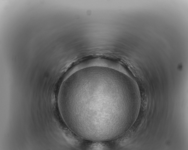 X0000090770704200707271527