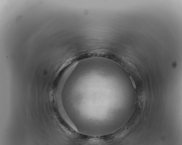X0000090770708200707271527