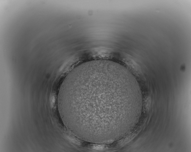 X0000090770709200707271527