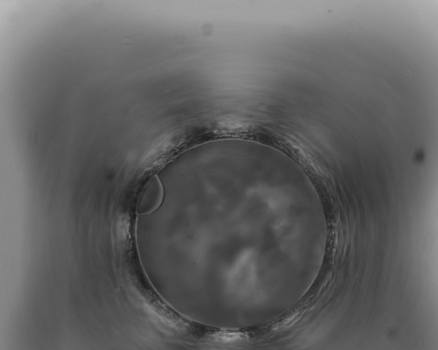 X0000090770711200707271527