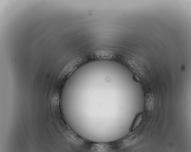 X0000090770713200707271527