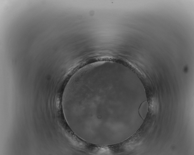 X0000090770715200707271527