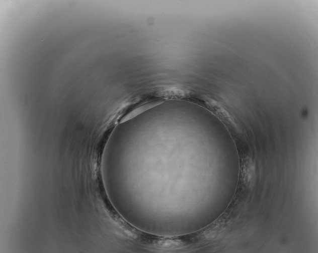 X0000090770716200707271527