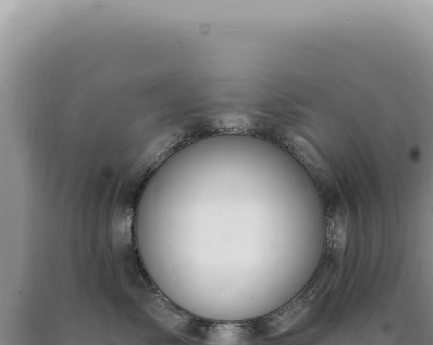 X0000090770717200707271527