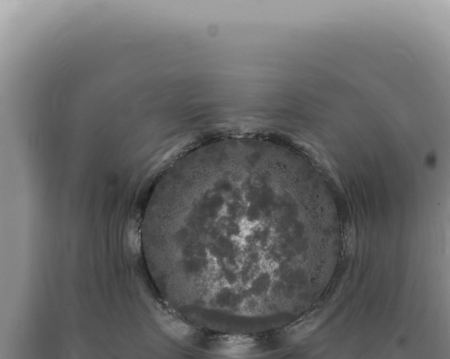 X0000090770719200707271527