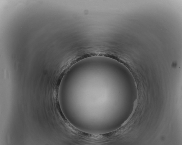 X0000090770720200707271527