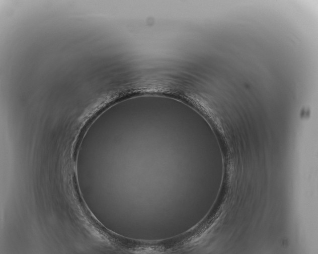 X0000090770721200707271526
