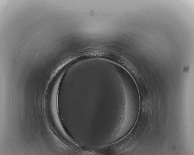 X0000090770722200707271526