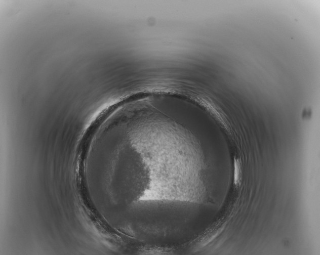 X0000090770723200707271526