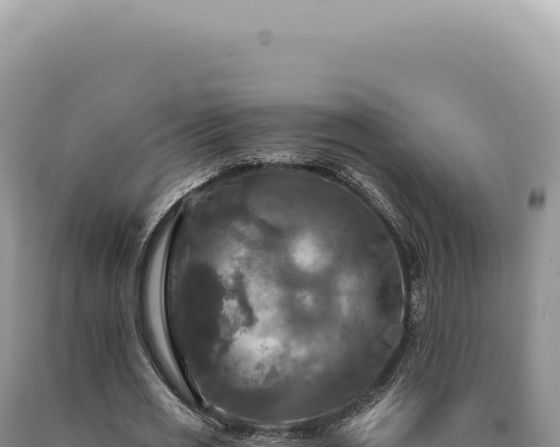 X0000090770725200707271526