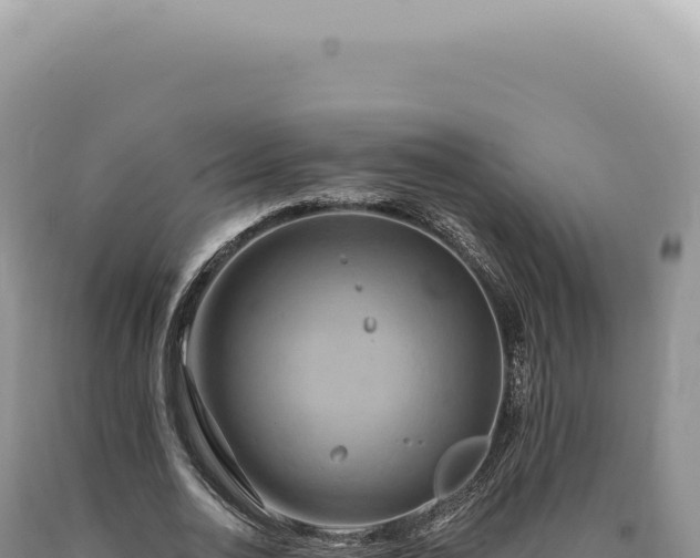 X0000090770726200707271526