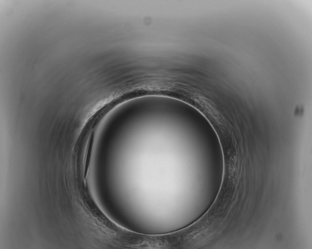 X0000090770727200707271527