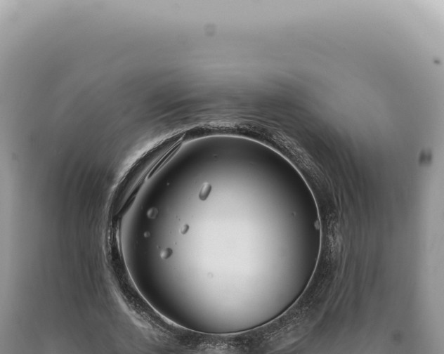 X0000090770728200707271527