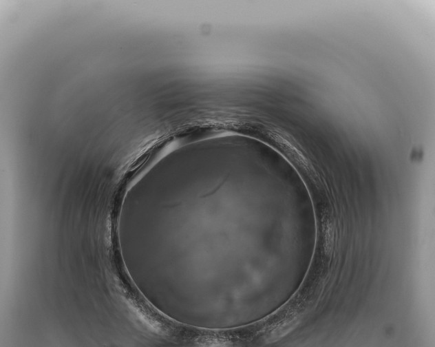 X0000090770729200707271527