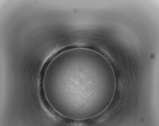 X0000090770730200707271527