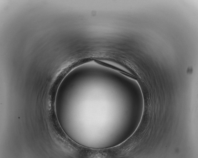 X0000090770731200707271527