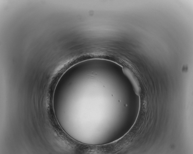 X0000090770732200707271527
