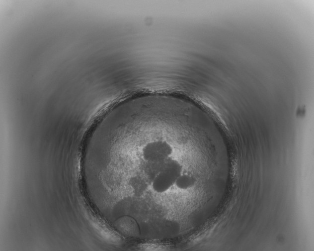 X0000090770733200707271527