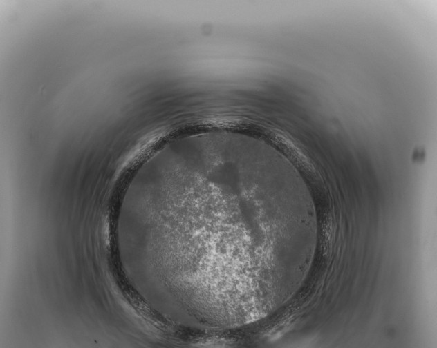 X0000090770734200707271527