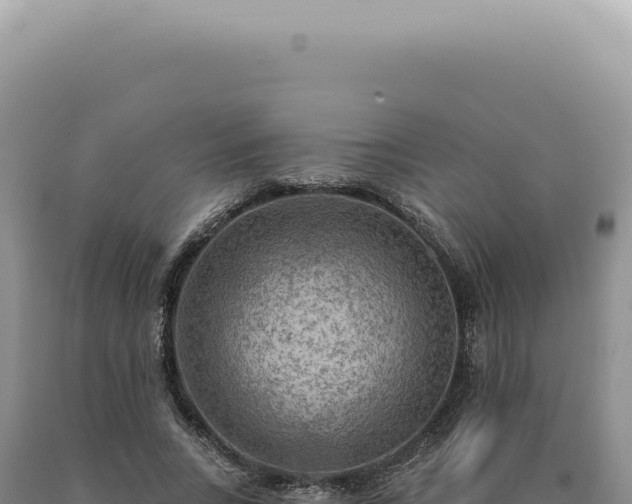 X0000090770735200707271527