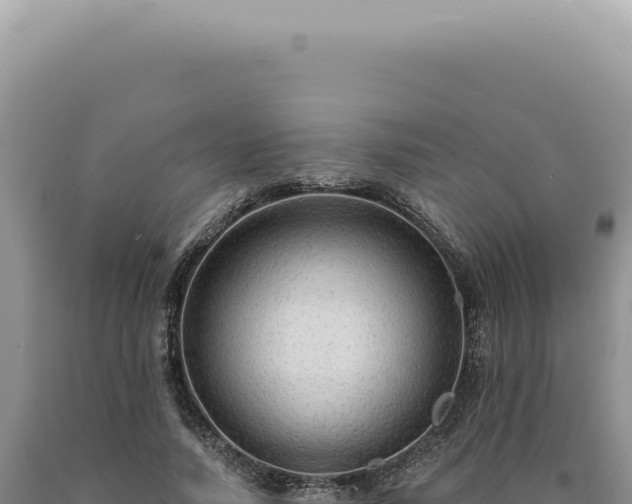 X0000090770738200707271527