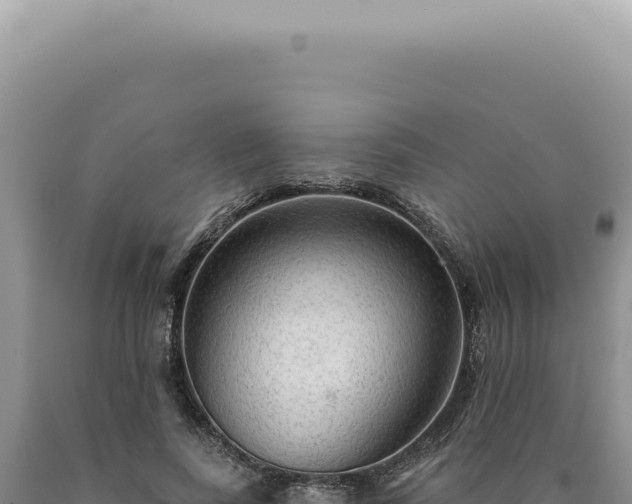 X0000090770739200707271527