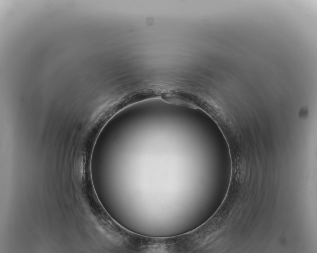 X0000090770740200707271527