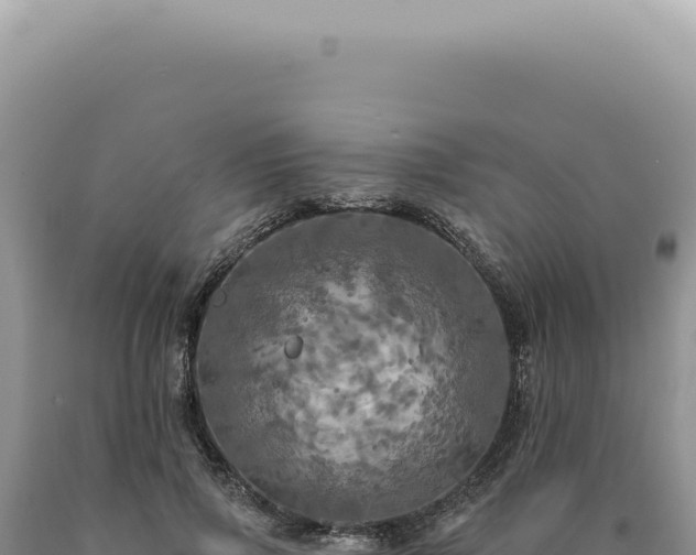 X0000090770741200707271527