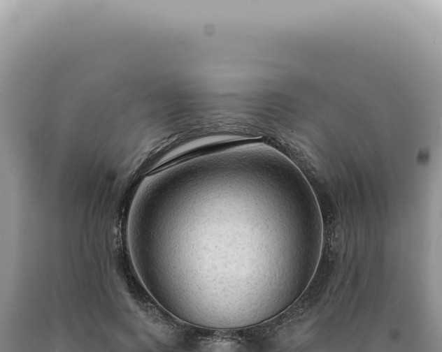 X0000090770743200707271527