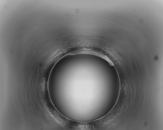 X0000090770744200707271527