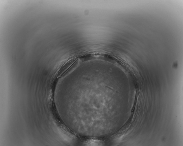 X0000090770748200707271527