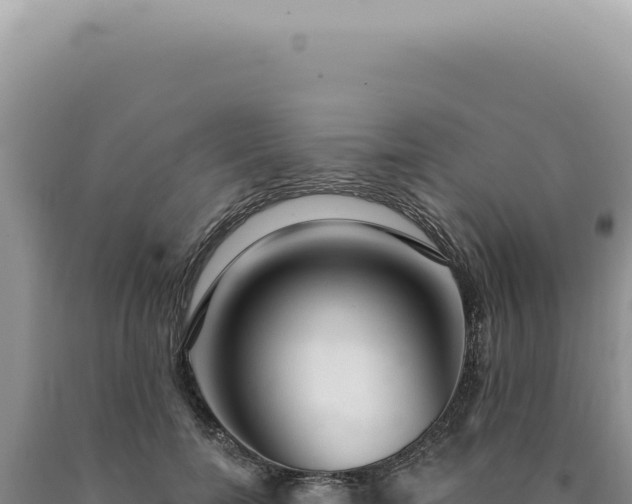 X0000090770750200707271527