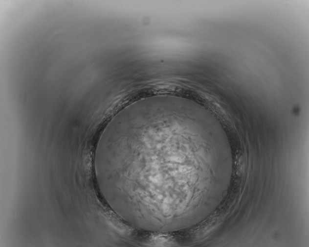 X0000090770753200707271527