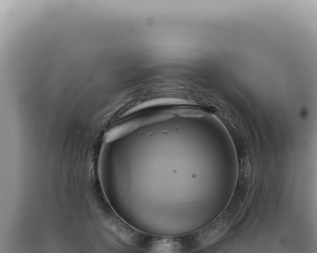 X0000090770754200707271527