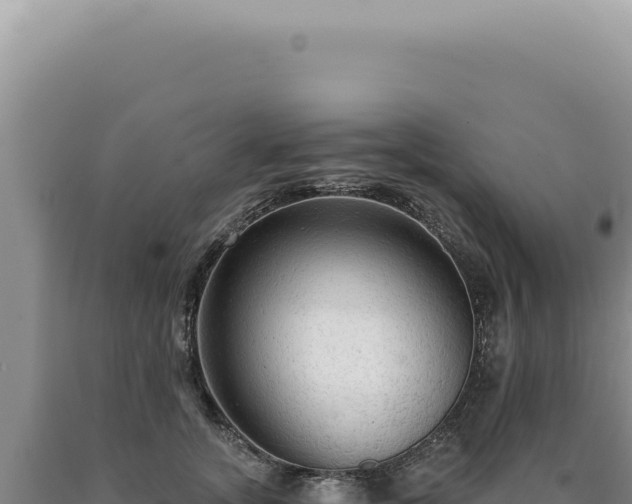 X0000090770755200707271527