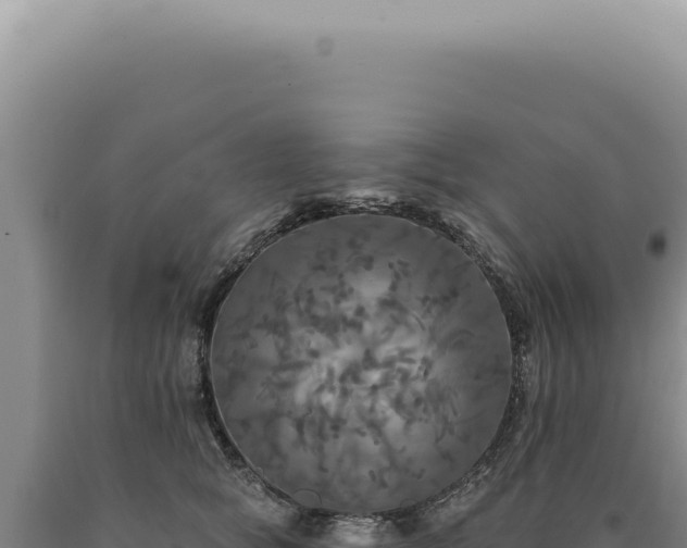 X0000090770757200707271527