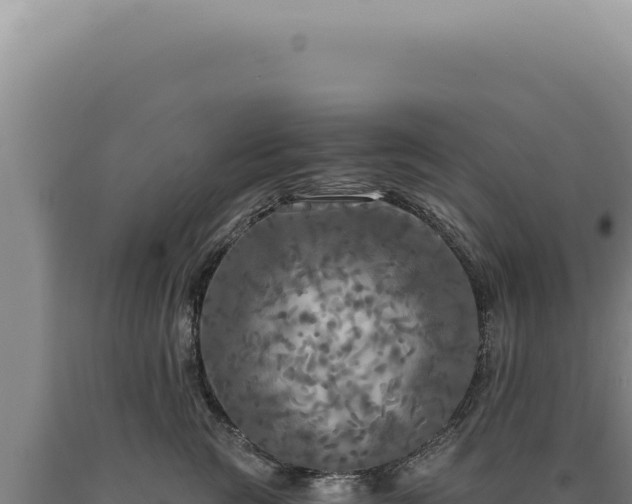 X0000090770761200707271527