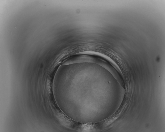 X0000090770762200707271527