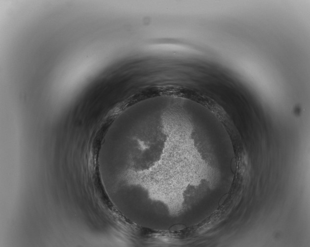 X0000090770763200707271527