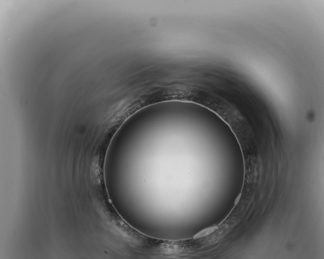 X0000090770764200707271527