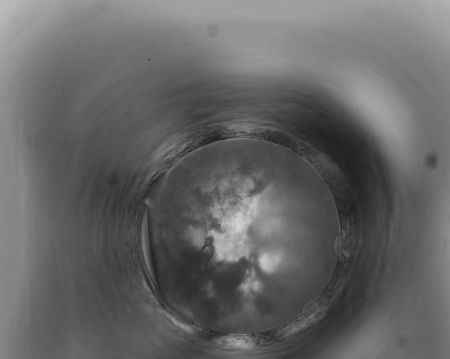 X0000090770765200707271527