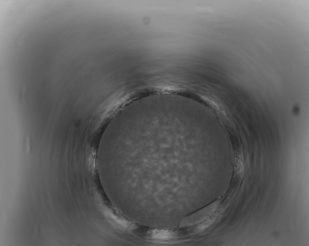 X0000090770766200707271527