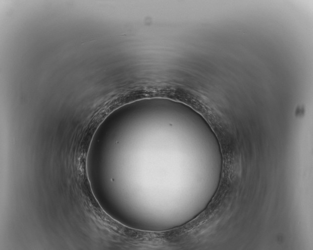 X0000090770770200707271526