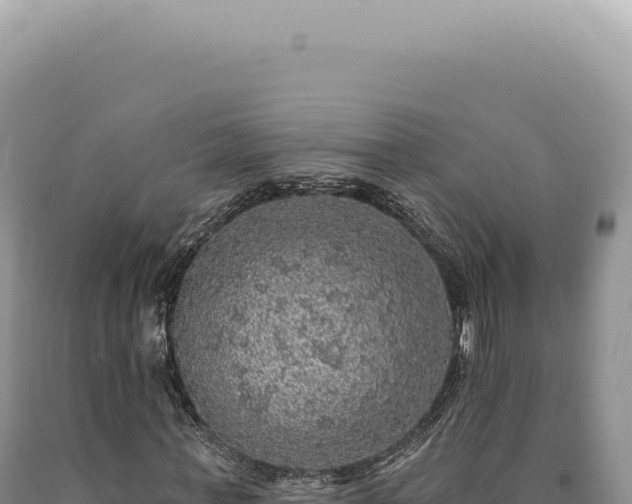 X0000090770771200707271526