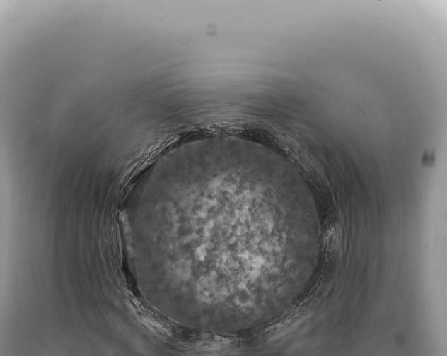 X0000090770772200707271526