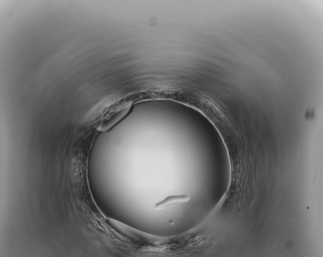 X0000090770773200707271526