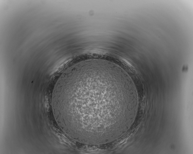 X0000090770774200707271526