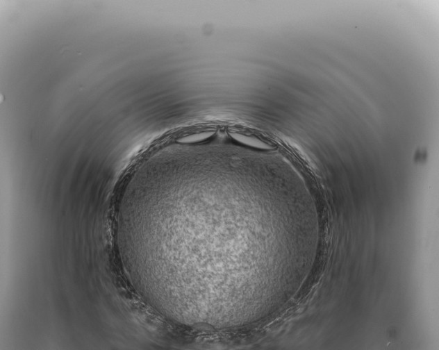 X0000090770776200707271526
