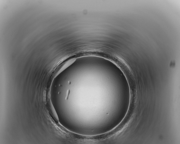 X0000090770777200707271526